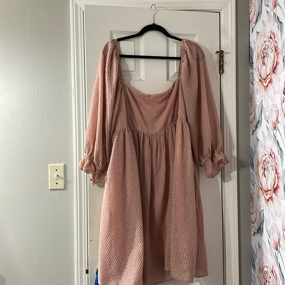 Sweet lemon brand 3X babydoll dress it’s a beautiful baby pink with gold flecks